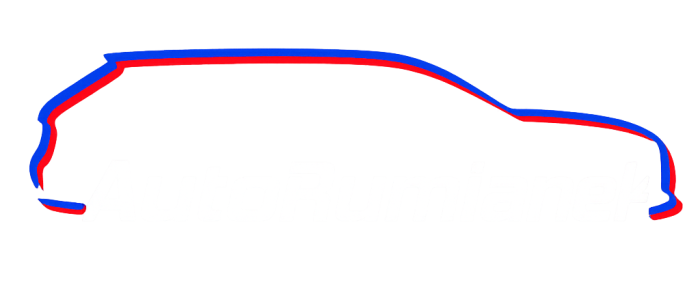 Auto Rumianek Logo - transparentne-białe